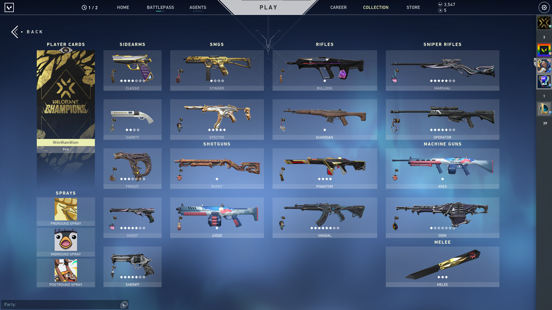 Skins